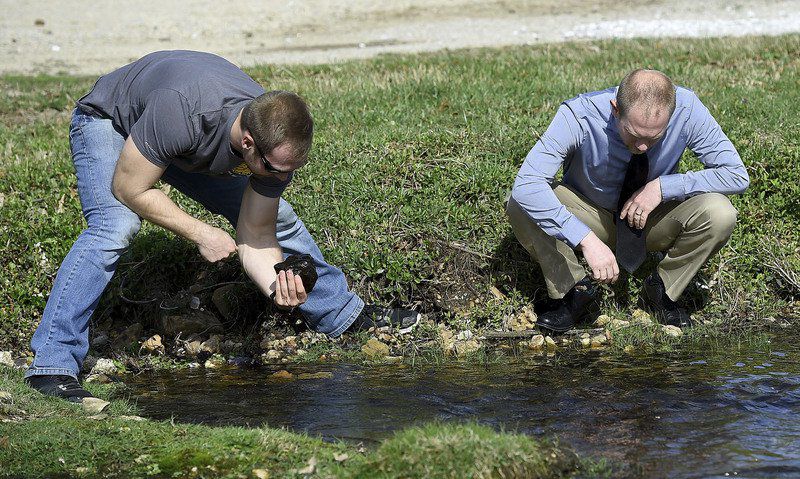 MSSU student studying snails for impact of mining cleanup efforts